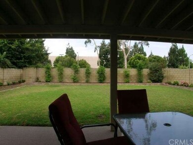 The view from the kitchen
