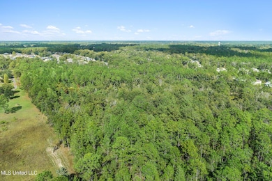 4 Drone View (6 of 9)
