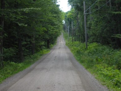 0 Cow Path 40 Lot C4 unit 4510424, Marlboro, VT 05344 - photo 4