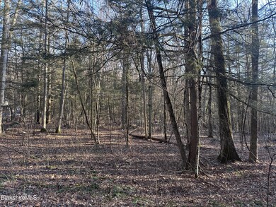 unlisted-address, Great Barrington, MA 01230 - photo 2