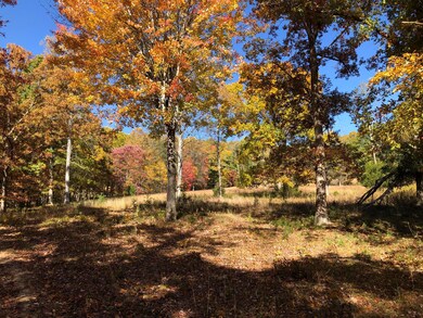 906 Wolfe Rd, Covington, VA 24426 - photo 4