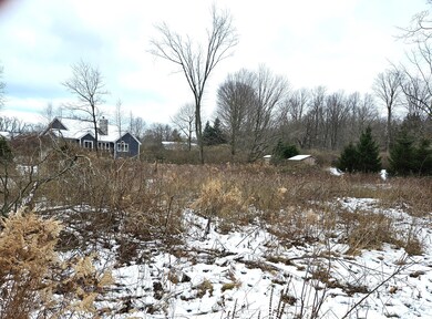 Baseline Road - Pic #5