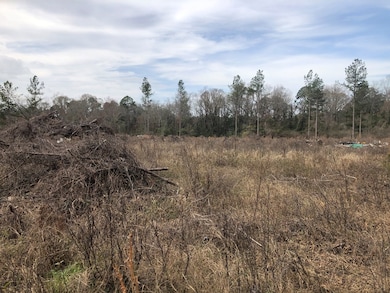 390 Lundy Rd, Sylvester, GA 31791 - photo 5