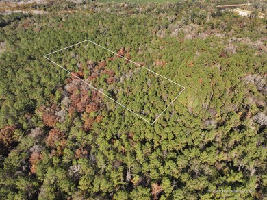 Old_Hwy_24_W_Lot_28-2