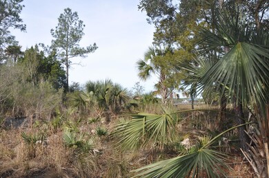 Marsh and Wando River peeks