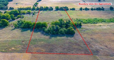 TBD County Road 115, Callisburg, TX 76240 - photo 6