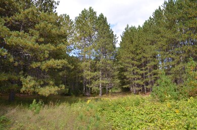 Parcel B Walleye Way, Tomahawk, WI 54487 - photo 6