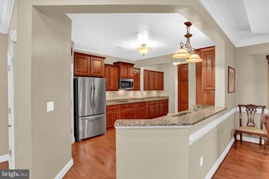 2900 Stone Cliff Dr unit 113, Baltimore, MD 21209 - photo 5