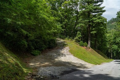 618 Nix Mountain Rd, Sapphire, NC 28774 - photo 4