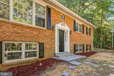 4041 Ebenezer Rd, Bluemont, VA 20135 - photo 6