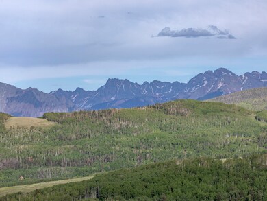 2673 Little Cone Ranch Road-030-029-Ridg