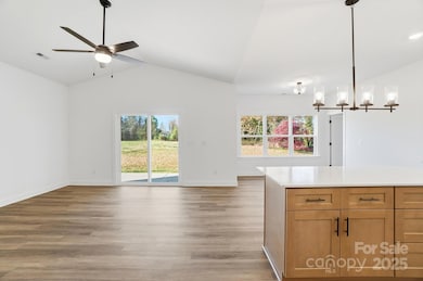 197 Dale Dr unit 1, Cherryville, NC 28021 - photo 6