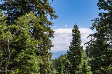 2191 Pine Loop Road Wanship UT 84017 USA