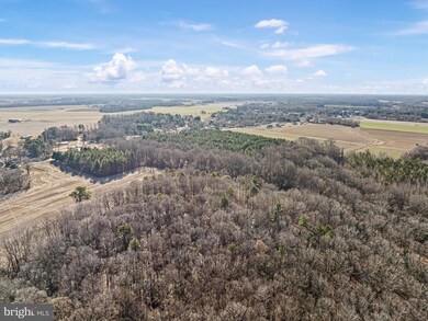 7058 Shawnee Rd, Milford, DE 19963 - photo 6