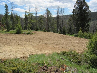 Mtn Maid A Quartz Hill Rd, Wise River, MT 59762 - photo 3