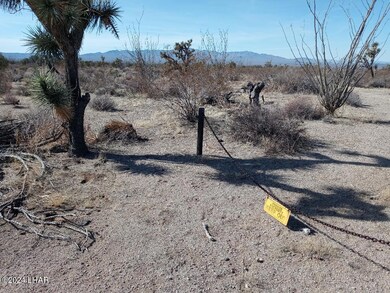 Parcel 439 S Tom Mix Rd, Yucca, AZ 86438 - photo 7