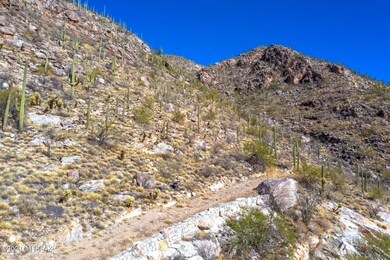 4233 E Playa de Coronado unit 59, Catalina Foothills, AZ 85718 - photo 3