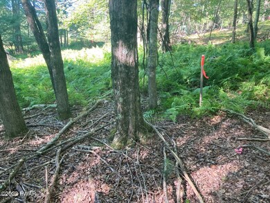 Lot 176 Tink Wig Dr, Lackawaxen Township, PA 18428 - photo 5