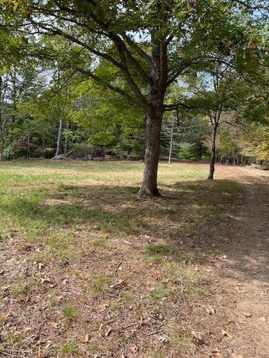 00 Doctors Crossing, Charlottesville, VA 22911 - photo 5