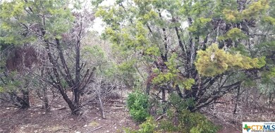 16004 Salado Dr, Temple, TX 76502 - photo 3