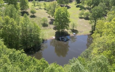 Take a dip in the pond off the zipline or jump on a paddle boat and enjoy the day