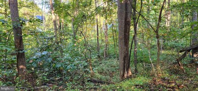 0 Wilson Ln unit VAWR2009114, Front Royal, VA 22630 - photo 4