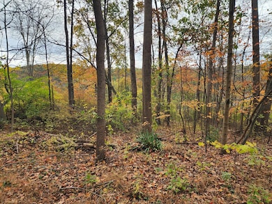 12522 Turkey Farm Rd, Huntingdon, PA 16652 - photo 3