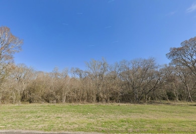 County Rd unit Navasota TX 77868, Navasota, TX 77868 - photo 6