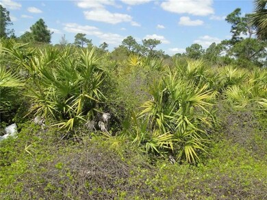 View of local wilderness