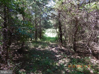 Rr 1 unit 1001181389, Kearneysville, WV 25430 - photo 2