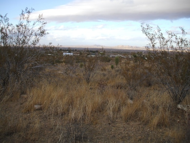 00 SE Bob Gap Rd, Llano, CA 93544 - photo 3