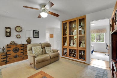 252 Eagle Dr, Chewelah, WA 99109 - photo 5