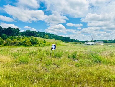 11 Turkey Loop, East Bernstadt, KY 40729 - photo 6