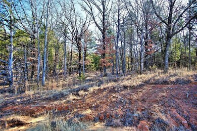 596 Sycamore Hills Loop, Gordonville, TX 76245 - photo 6