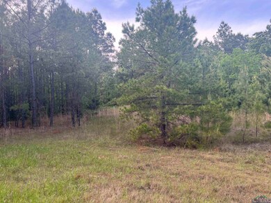 View of local wilderness with a forest view