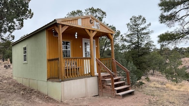 37 Wilderness Cir, Datil, NM 87821 - photo 2