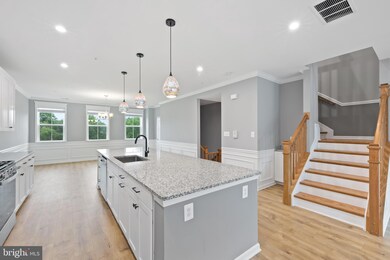 4615 -B Crossing Ct, Ellicott City, MD 21043 - photo 5