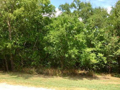 17± Ac NW Co Road 1020, Corsicana, TX 75110 - photo 5