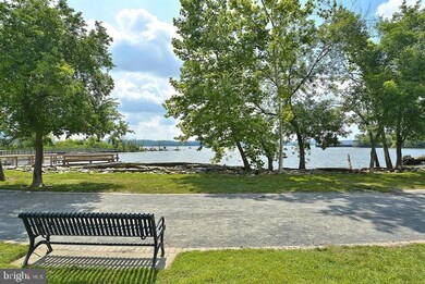 Alexandria House unit 1009, Alexandria, VA 22314 - photo 3