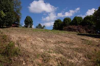 1 Golden Pond Dr, London, KY 40744 - photo 6