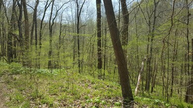 0 White Oak Rd unit RTC2004925, Stewart, TN 37175 - photo 4