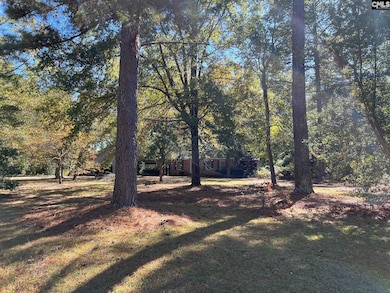 123 Hollow Ln, Leesville, SC 29070 - photo 2