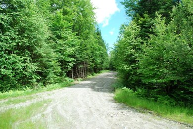 Lot 10 Moose Run Rd, Wellington, ME 04942 - photo 3