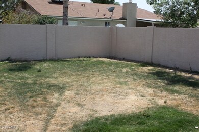 GRASSY BACK YARD