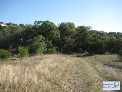 Very level property with a group of Oak Trees in the rear.