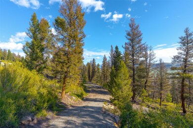 1720 Middle Fork Vista, Fairplay, CO 80440 - photo 4