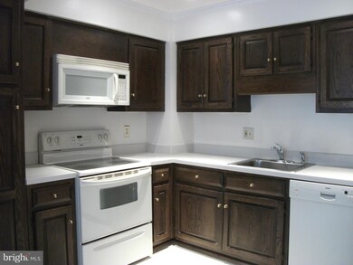 694 N Armistead St unit 48, Alexandria, VA 22312 - photo 7