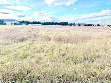 0 Sparling Rd unit 1940713, Kingsley, MI 49649 - photo 3