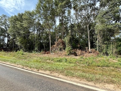 915 E Court St, Newton, TX 75966 - photo 3