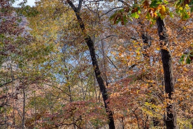 35 Shultz Dr, Eureka Springs, AR 72631 - photo 7